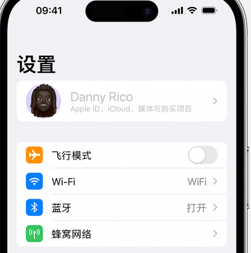 潭门镇appleID维修服务iPhone设置中Apple ID显示为灰色无法使用