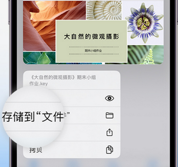 潭门镇apple维修中心分享iPhone文件应用中存储和找到下载文件