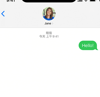 潭门镇apple维修iPhone上无法正常发送iMessage信息