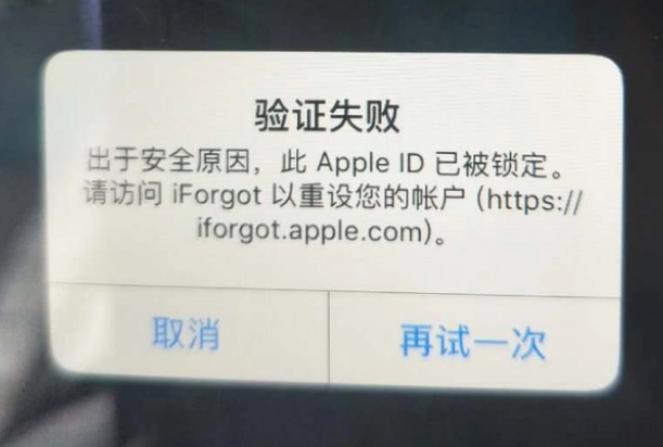 潭门镇iPhone维修分享iPhone上正常登录或使用AppleID怎么办 