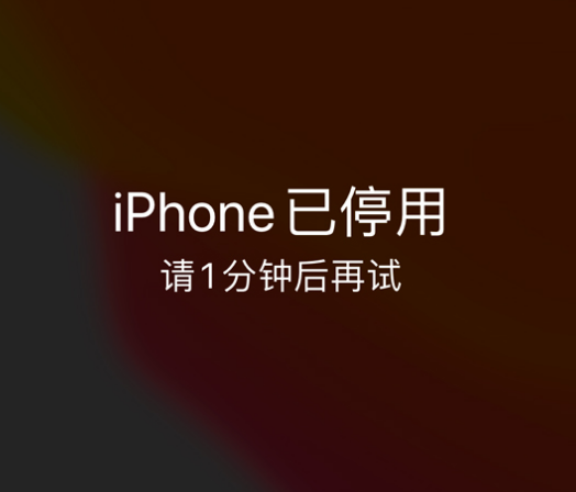 潭门镇苹果手机维修分享:iPhone 显示“不可用”或“已停用”怎么办？还能保留数据吗？ 