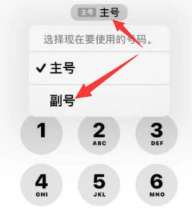 潭门镇苹果14维修店分享iPhone 14 Pro Max使用副卡打电话的方法 