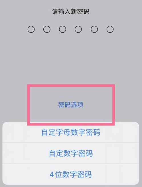 潭门镇苹果14维修分享iPhone 14plus设置密码的方法 