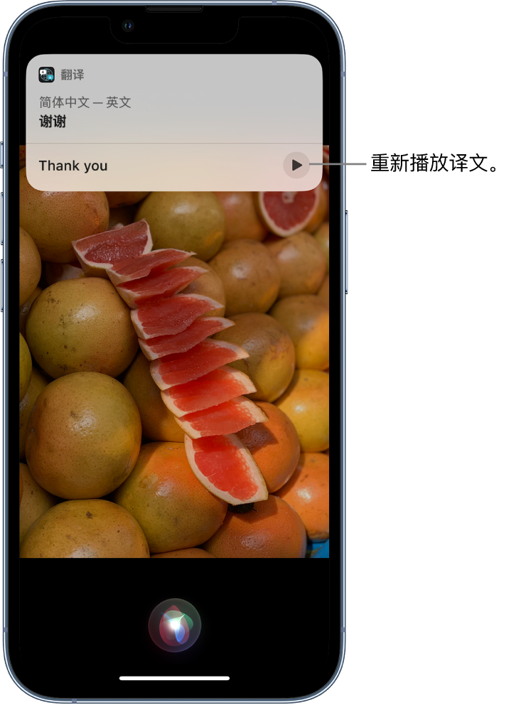 潭门镇苹果14维修分享 iPhone 14 机型中使用 Siri：了解 Siri 能帮你做什么 