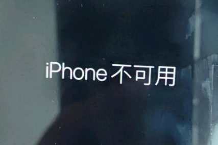 潭门镇苹果服务网点分享锁屏界面显示“iPhone 不可用”如何解决 