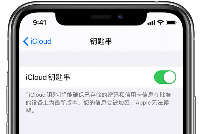 潭门镇苹果手机维修分享在 iPhone 上开启 iCloud 钥匙串之后会储存哪些信息 