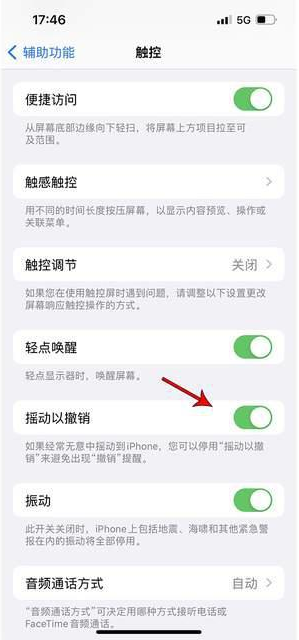 潭门镇苹果手机维修分享iPhone手机如何设置摇一摇删除文字 